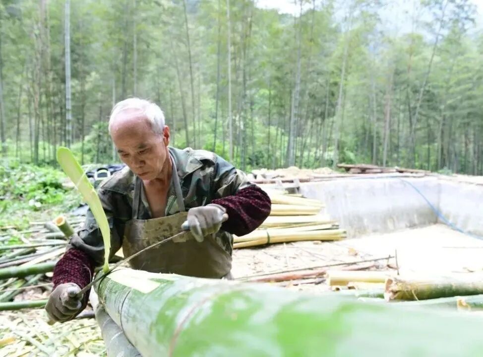 福建纸品超厉害！玉扣纸、连史纸闻名遐迩，造纸历史超悠久(图2)