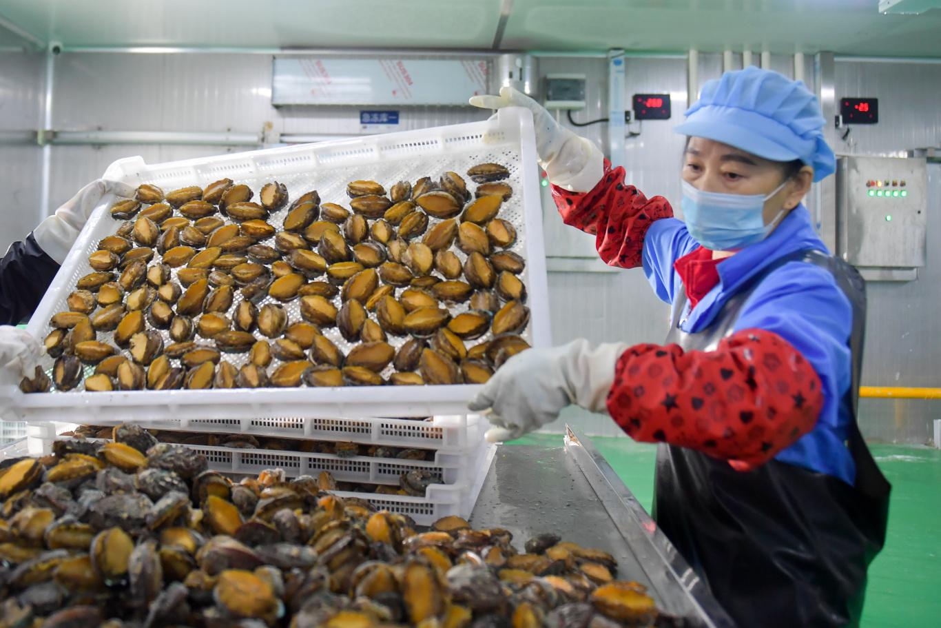 年关罗源县新能源企业忙生产，小县何以崛起打造千亿产业？(图2)