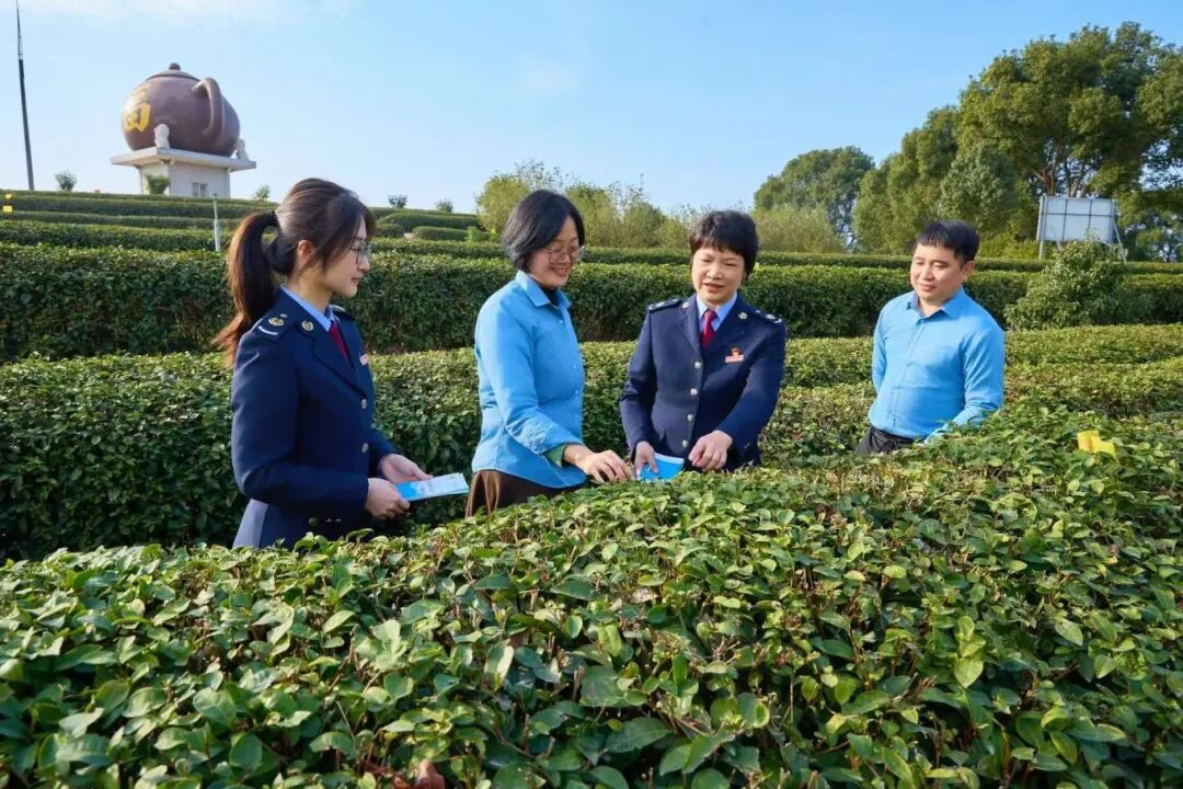 全国‘十佳税务人’柯志华：三十载扎根基层，守护百姓社保(图3)