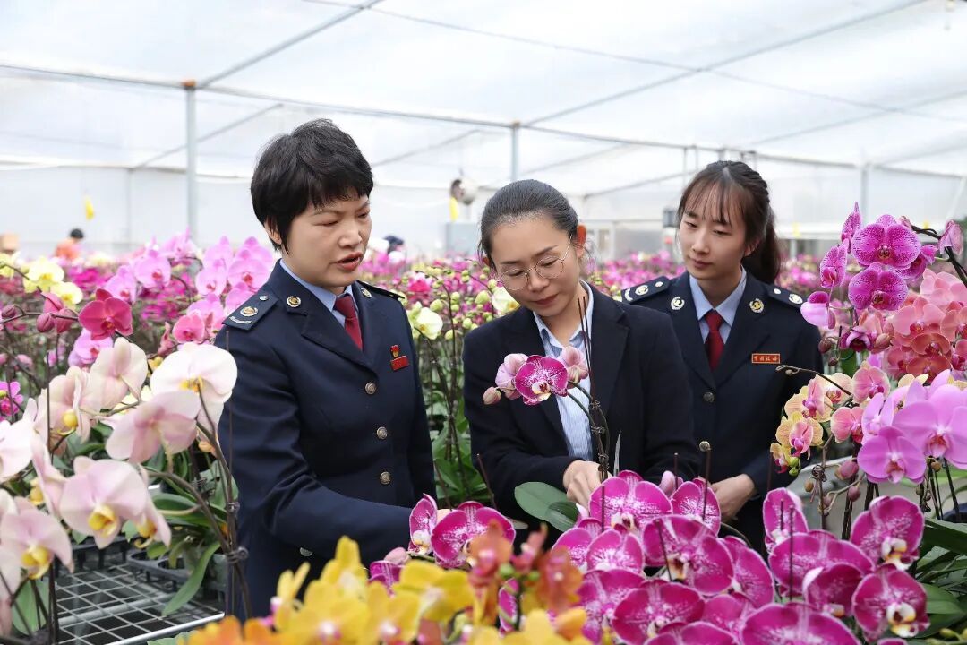 全国‘十佳税务人’柯志华：三十载扎根基层，守护百姓社保(图4)