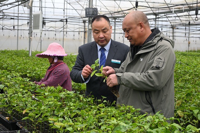 农行福建龙岩长汀支行：惠农服务旗舰店与李文慰劳模工作室(图3)