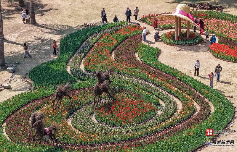 福州植物园春节大郁金香展，赏七彩花海与特色榕马(图2)