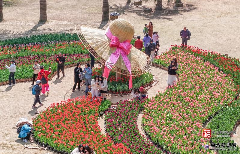 福州植物园春节大郁金香展，赏七彩花海与特色榕马(图4)