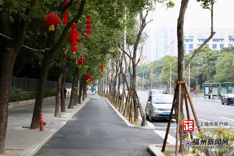 福州多条路行道树回植完成 406 株新绿‘归家’添年味(图1)