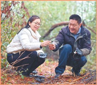 南平科技特派员：法规助力，从政策推动迈向法治保障(图1)