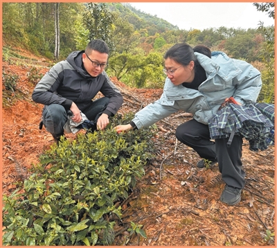 南平科技特派员：法规助力，从政策推动迈向法治保障(图2)